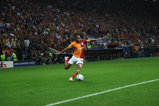 业生涯开端 业生涯开端