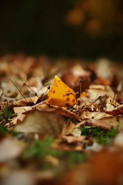 比賽中發脾 比賽中發脾