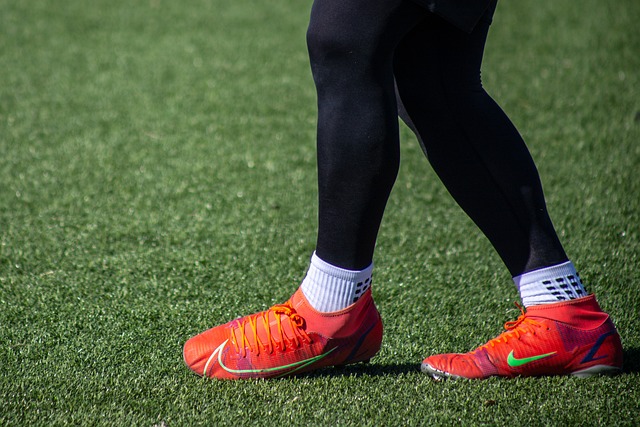 或缺的一部 或缺的一部