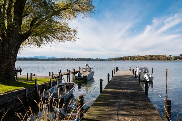 这一言论引 这一言论引